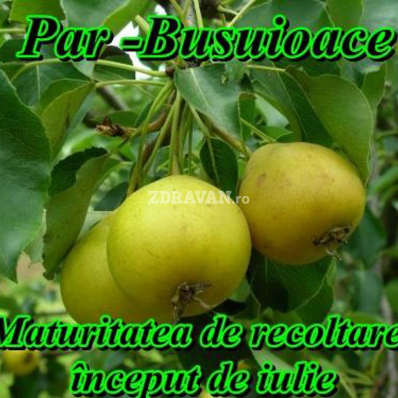 Pere Busuioace