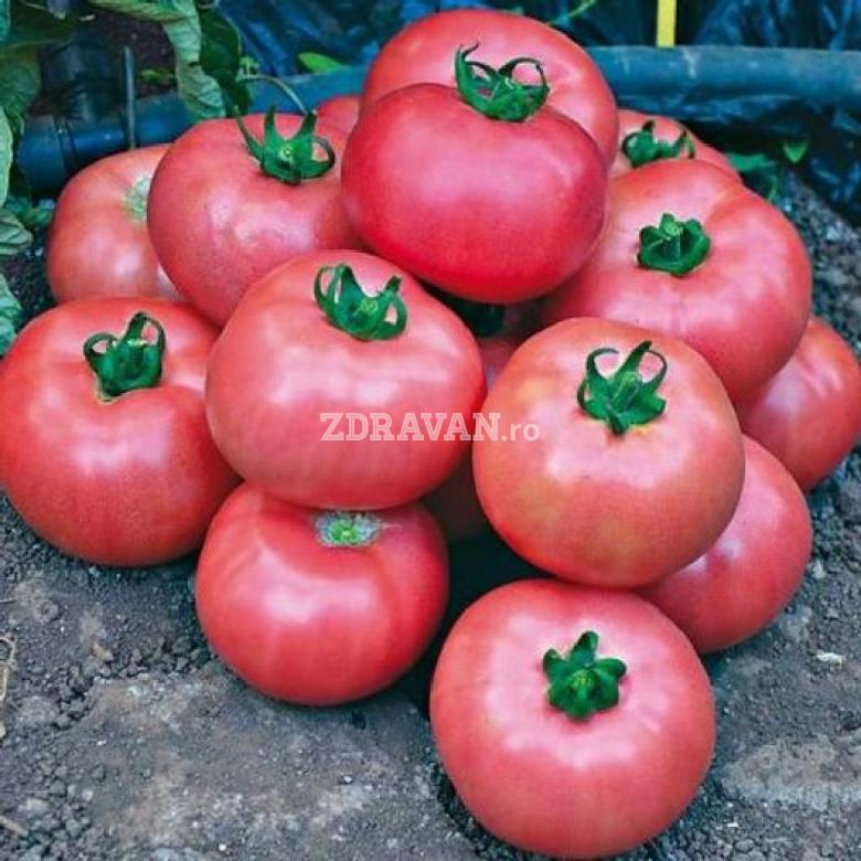 Tomate roz
