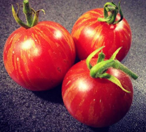 Tomate tigrisoare