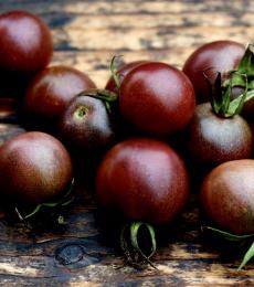 Black cherry